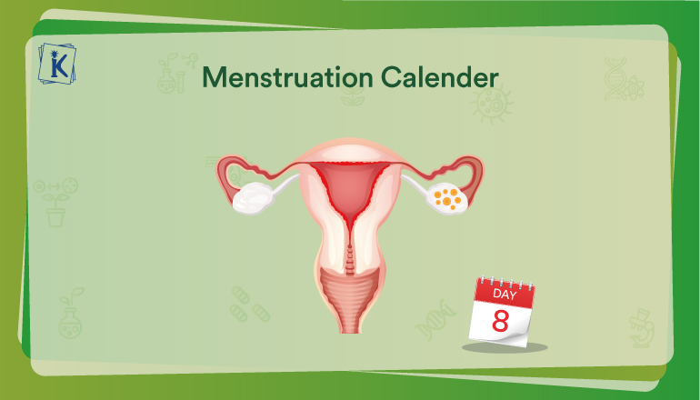 What Is Menstruation Explain Short Answer Class 8 Ncert