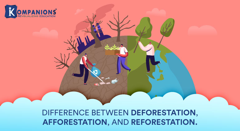 afforestation and deforestation drawings